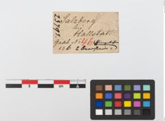 Etiketten zu Bernsteinringperle (NHMW-PRAE-023793)